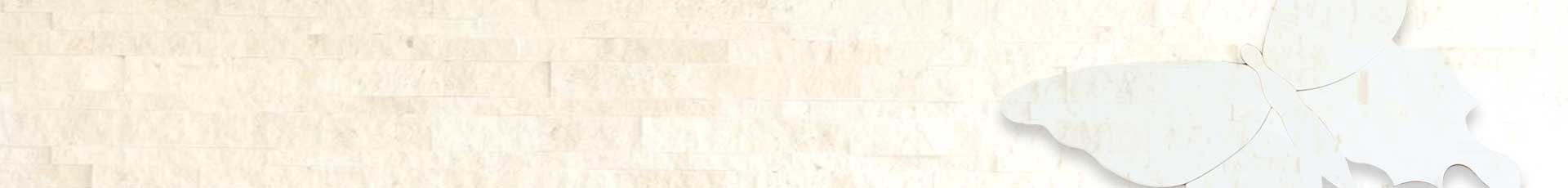Kieferorthopädie-Planegg Praxisteam Header 